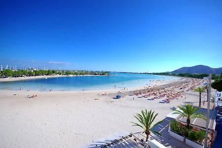 Apartment Alcudia Beach 501 Port de Alcudia  Exteriör bild