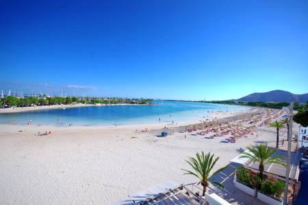 Apartment Alcudia Beach 501 Port de Alcudia  Exteriör bild
